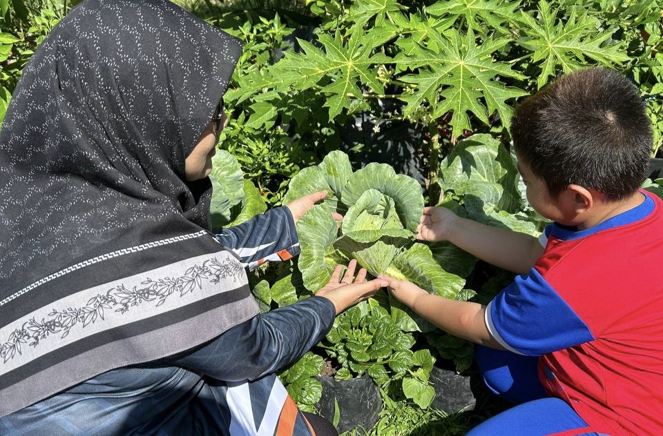 Agro Cilik ( Tanam Sayur )